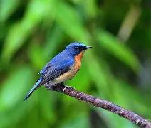 顠F!6厽&??妠nW€w鐒?榓G冣逓^缱Au+x3N?$G蝖5If